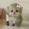 hhhhnhuuuu