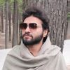 syedhamzaali164