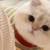 marayah_10
