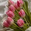 ank_799
