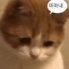 garam_oo0043