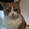 onlygill4love