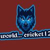 world...cricket12