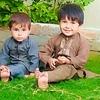 hibatullah__afghan2