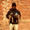 kennelmejodog0