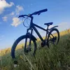 teoma_64