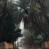 alharthy_999