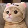 theanh2522