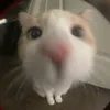 m_eyouuu