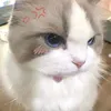 yumne_4