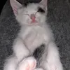 krutoy_12_dima