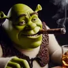 shrek849_