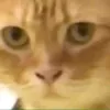 emptylike8