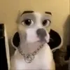 deza000000