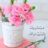 noura__abdalhamed