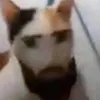 drilla_iz