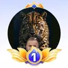 vasya.iliut