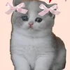 fatimajoli42