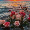 himdat_