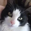 fidgetstoysxoxo7