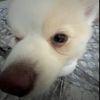 cain_9370