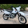jacksontolosa550