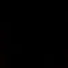 leonis_amp