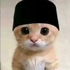 malwiqd_10