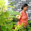 laxmi9867420871