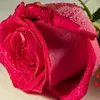 mari_garcia078