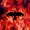 spikefirecrow