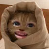 user2032043