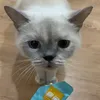 meoisthebest_