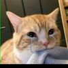 sela_woa4y