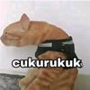 pripunlurrrrr