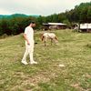 hocine_fz