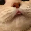 f_th_m