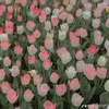 huyen.hoang325