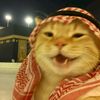 mr_orange24