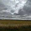amatullah_725