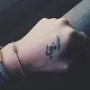 hayatrachid36