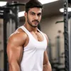 ali.sharfano