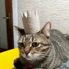 carlotrombetta263
