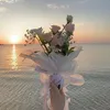 a_m_i_1230823