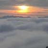 .loveinthemist