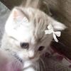 jenny.792