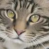 fleurdegrenade2