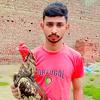 sameer_ansari.35