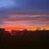 thebarney99
