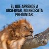 joselesliesolarez